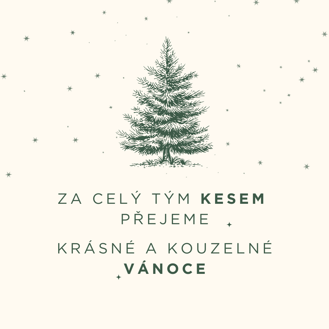 PŘEJEME KRÁSNÉ A VESELÉ VÁNOCE (3)